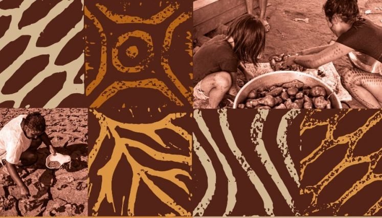 COMISSÃO PASTORAL DA TERRA LANÇA REVISTA COM DENÚNCIAS SOBRE OS IMPACTOS DO USO DE AGROTÓXICOS NO CERRADO