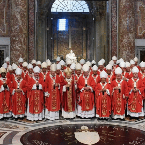 Arcebispos recebem o pálio das mãos do Papa Leão XIV na Solenidade de São Pedro e São Paulo